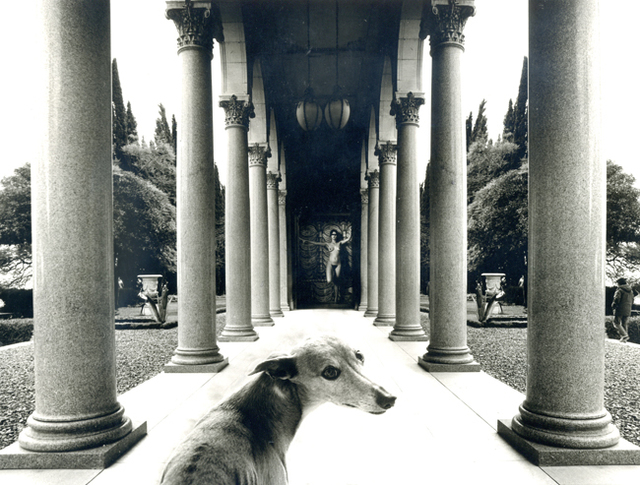 Itzhak Ben Arieh  'THE DOG', created in 1996, Original Digital Art.