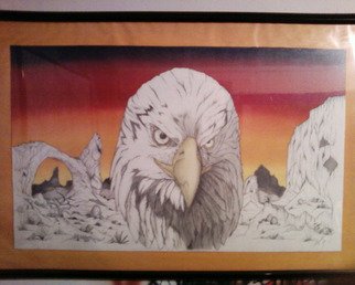 Alejandro Jake: 'Eagle', 2009 Crafts, Animals.  An custom Eagle Drawing I Did using different methods of style. ...