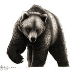 The Bear By Alejandro Jake