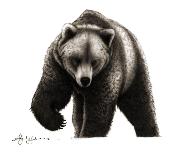 Artist Alejandro Jake. 'The Bear' Artwork Image, Created in 2016, Original Tatoo Art. #art #artist