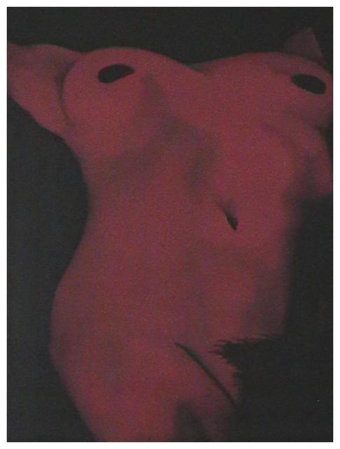 John Fields  'Female Torso', created in 2003, Original Painting Oil.