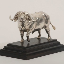Heinrich Filter: 'Buffalo in Sterling silver', 2013 Other Sculpture, Wildlife. Artist Description: Cape buffalo sculpture in Sterling silver on ebony base by Heinrich Filter; Sterling silver weight approx 1100 grams; also available in bronze....