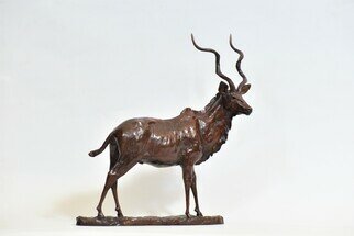 Heinrich Filter: 'kudu bull', 2023 Bronze Sculpture, Wildlife. Kudu Bull - Limited Edition of 12, Bronze sculpture on bronze base, L 35 cm x W 12 cm x H 36 cm, brown patina.The majestic Kudu bull has one of the most recognisable silhouettes of the African bush. Tall, corkscrew horns can grow up to 1. 8 metres, twisting ...