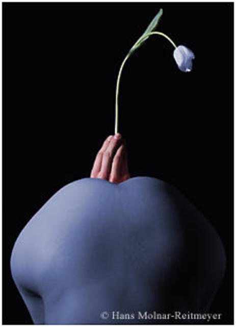 Hans Molnar Reitmeyer  'Tulip', created in 2003, Original Photography Black and White.