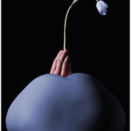 Tulip By Hans Molnar Reitmeyer