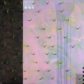 Jose Freitascruz: 'rainpaddy', 2008 Mixed Media, Abstract Landscape. Brunei inspired - rice fields...