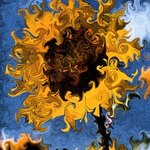 Sunflower, Sandro Frinolli Puzzilli