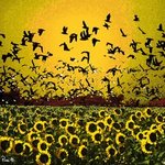 Yellow fly By Sandro Frinolli Puzzilli