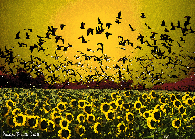 Sandro Frinolli Puzzilli  'Yellow Fly', created in 2015, Original Digital Art.