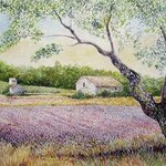 Provence, Cyr Antoine Hubert