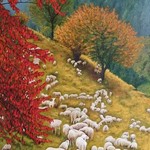 carpathian sheep By Gala Melnyk