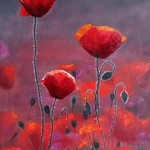 poppies By Gala Melnyk
