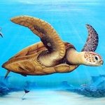 sea turtles over reef By Gary Boswell