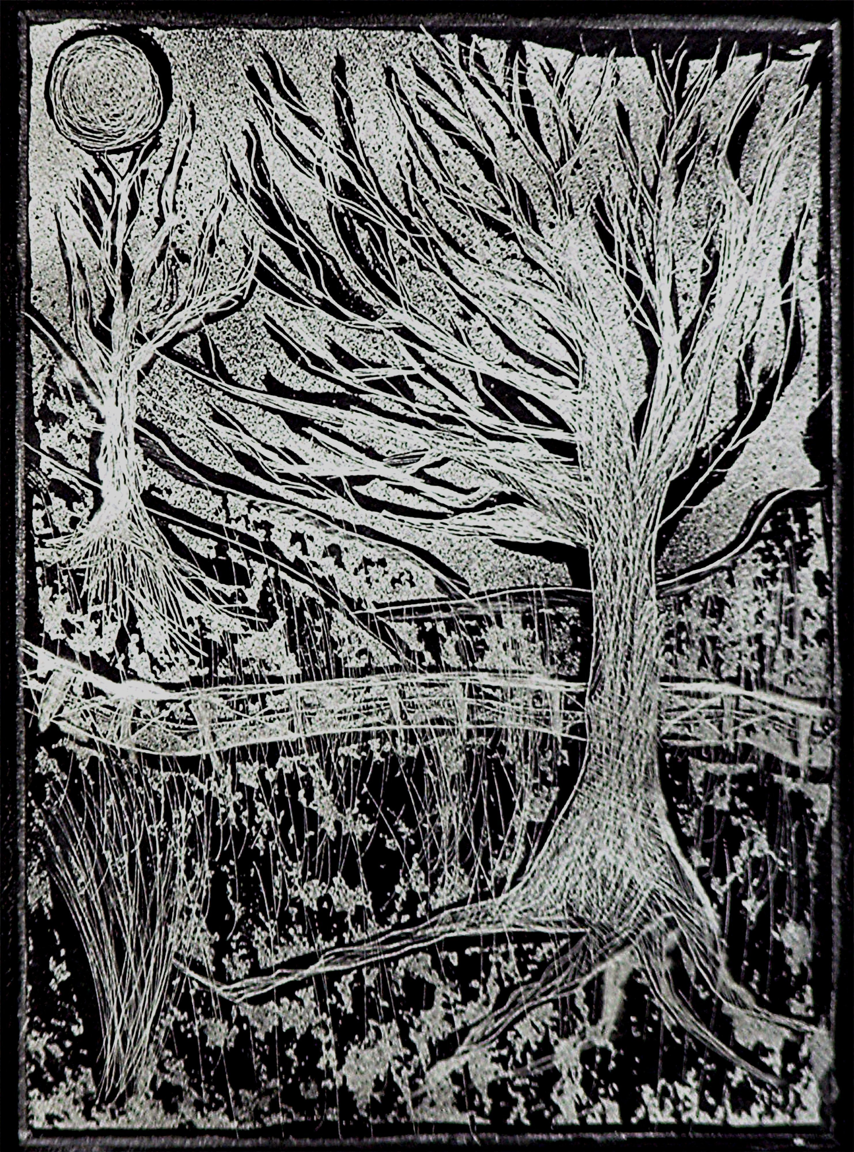 Jerry  Di Falco: 'Snow on Forbidden Drive in Silver', 2009 Etching, Landscape. I hand printed and published this edition at The Center for Works on Paper in Philadelphia, Pennsylvania, USA.  Please note that this etching is shipped to the collector as is, in other words.  .  .  without a frame or mat.  This not only keeps the price reasonable, but also allows the collector ...