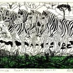 Zebra Show Number One By Jerry  Di Falco