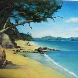 coromandel island nz By George Grant
