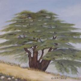 Ghassan Rached: 'Millenary Cedar Tree 1', 2001 Oil Painting, Landscape. Artist Description: Millenary Cedar Tree of Lebanon. Oil Painting by Ghassan Rached....