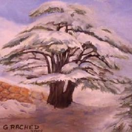 Ghassan Rached: 'Millenary Cedar Tree 2', 2001 Oil Painting, Landscape. Artist Description: Millenary Cedar Tree of Lebanon...