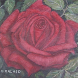 Ghassan Rached: 'Single Rose', 2002 Oil Painting, Floral. Artist Description:  Oil painting by Ghassan Rached ...