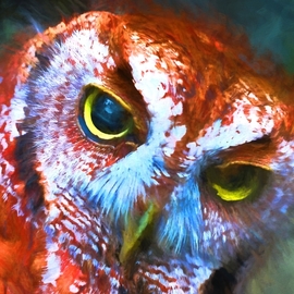 red owl By Db Jr