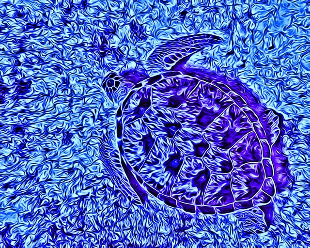 Artist Db Jr. 'Sint Marteen Turtle' Artwork Image, Created in 2017, Original Digital Painting. #art #artist
