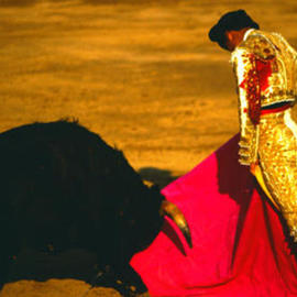 Gregory Stringfield: 'Matador Number Three', 2001 Color Photograph, Travel. 