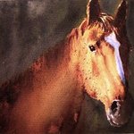portrait of a brown stallion By Ivan Grozdanovski