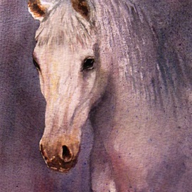 portrait of a white stallion By Ivan Grozdanovski