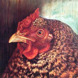 Hans Droog: 'Eleanor 3 The Dominiquer Hen', 1997 Oil Painting, Animals. Artist Description: Portrait of a mature Dominiquer chicken. ...