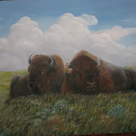 Bison Afternoon By Heidi Bacon