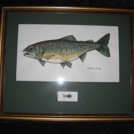 Brook Trout By Heidi Bacon