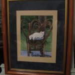 White Cat on Chair By Heidi Bacon