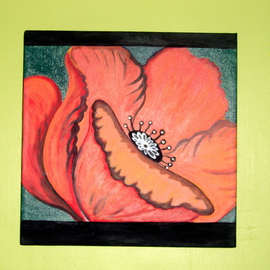 Helen Hachmeister: 'red flower', 2009 Acrylic Painting, Floral. Artist Description:  poppy   ...