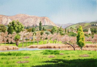 Mary Helmreich: 'Lakeside California by Mary Helmreich', 2008 Watercolor, Landscape. I painted this original painting in February of 2008. It is one of my favorites.The grass is green and trees are showing early color.For my other originals and museum quality prints, check out my websites