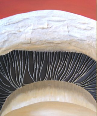 Cathy Savels: 'mushroom', 2006 Mixed Media, Botanical.  Sllightly shrivelled mushroom represented in fibreglass and string on a box canvas. ...
