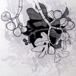untitled lithograph 1 By Hilary Pollock