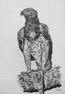 Hiten Mistry: 'eagles end', 2015 Other Drawing, Animals.     art, eagles end, eagle, eagles, animals, wildlife, eagle drawings, birds, eagle paintings, feathers, lizard, black and white eagle drawing, black and white drawing, claws, hiten mistry    ...