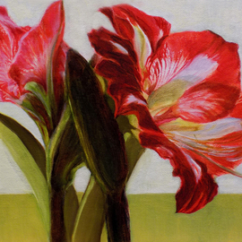 H. N. Chrysanthemum: 'Amaryllis', 2018 Oil Painting, Floral. Artist Description: original oil painting, amaryllis, red, green...