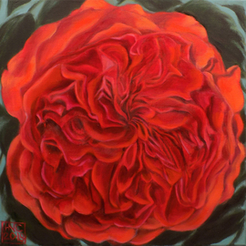 H. N. Chrysanthemum: 'Quartered rose', 2018 Oil Painting, Floral. Artist Description: original oil painting, rose, red, flower, floral...