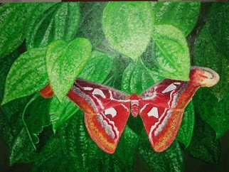Hnin Aye: 'cool leaves hot  butterfly', 2009 Oil Painting, Still Life.  One day I found a butterfly on the leaves of a black pepper plant. The scene arouse my heart to make a painting. ...