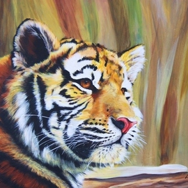 Lisa Hoffmann: 'Here Kitty Kitty', 2011 Acrylic Painting, Animals. Artist Description:  Young Siberian Tiger ...