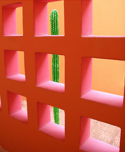 Artist Harvey Horowitz. 'Cabo Cactus Squares' Artwork Image, Created in 2006, Original Photography Color. #art #artist