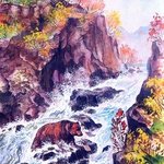 bear in the waterfall By Igor Moshkin