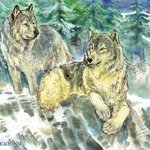 family of wolves By Igor Moshkin