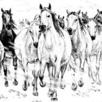 the herd of horses By Igor Moshkin