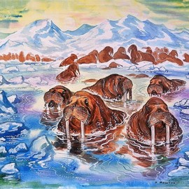 walrus in the arctic By Igor Moshkin