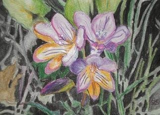 Eve Co: 'Freesia', 2009 Watercolor, Floral.  Freesia - Rough watercolor sketch of Freesia bunch, small painting with watercolors and watercolor pencils.Shipping charges are not accurate, but will not charge over that amount.  Shipping charges will be kept to a fair amount. ...