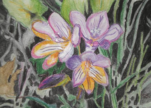 Eve Co  'Freesia', created in 2009, Original Painting Oil.