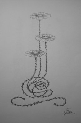 Eve Co: 'Morning Glory Bud Trio', 2010 Pencil Drawing, Botanical.  Graphite Sketch  ...