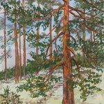 Large Pine By Irina Maiboroda